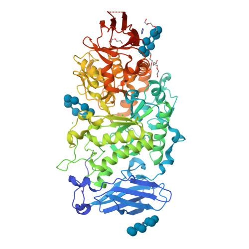 Rcsb Pdb 6jeq Crystal Structure Of Pullulanase From Paenibacillus Barengoltzii Complex With Beta Cyclodextrin