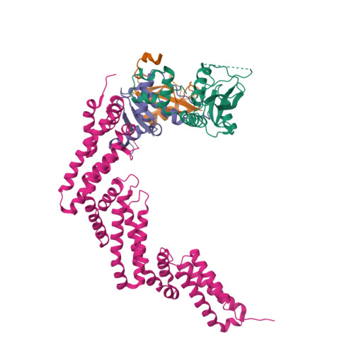 Rcsb Pdb 4jgh Structure Of The Socs2 Elongin Bc Complex Bound To An N Terminal Fragment Of Cullin5