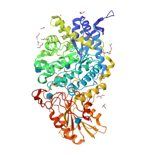 Rcsb Pdb 6jgb Crystal Structure Of Barley Exohydrolasei W286f Mutant In Complex With Methyl 6 Thio Beta Gentiobioside