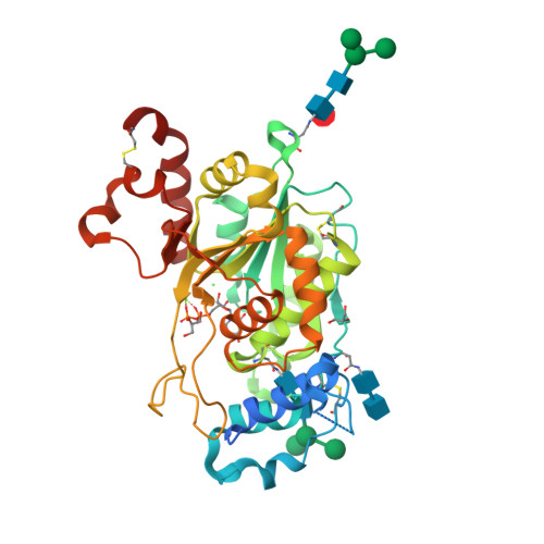 Rcsb Pdb 7jho Structure Of Human Beta 1 3 N Acetylglucosaminyltransferase 2 With Udp