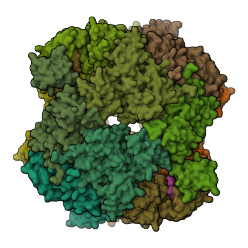 Rcsb Pdb 6jjl Crystal Structure Of The Degp Dodecamer With A Modulator