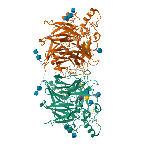 Rcsb Pdb 6jjm Crystal Structure Of Mumps Virus Hemagglutinin Neuraminidase Bound To The Oligosaccharide Portion Of The Gm2 Ganglioside