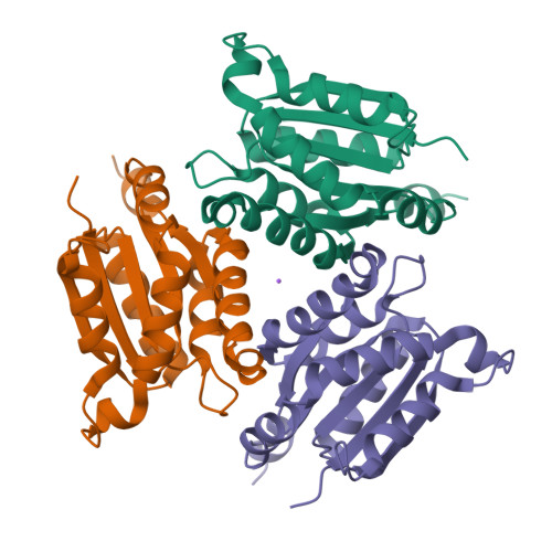 Rcsb Pdb 1jlj 1 6 Angstrom Crystal Structure Of The Human Neuroreceptor Anchoring And Molybdenum Cofactor Biosynthesis Protein Gephyrin