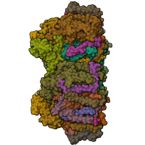 Rcsb Pdb 6jlj Xfel Structure Of Cyanobacterial Photosystem Ii Dark State Dataset1