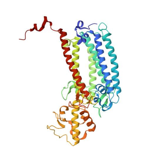 Rcsb Pdb 6jlj Xfel Structure Of Cyanobacterial Photosystem Ii Dark State Dataset1