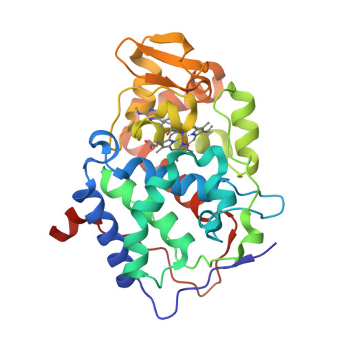 Rcsb Pdb 4jmz Crystal Structure Of Cytochrome C Peroxidase W191g Gateless In Complex With N Methyl 1h Benzimidazol 2 Amine