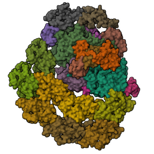 Rcsb Pdb 6jo5 Structure Of The Green Algal Photosystem I Supercomplex With Light Harvesting Complex I