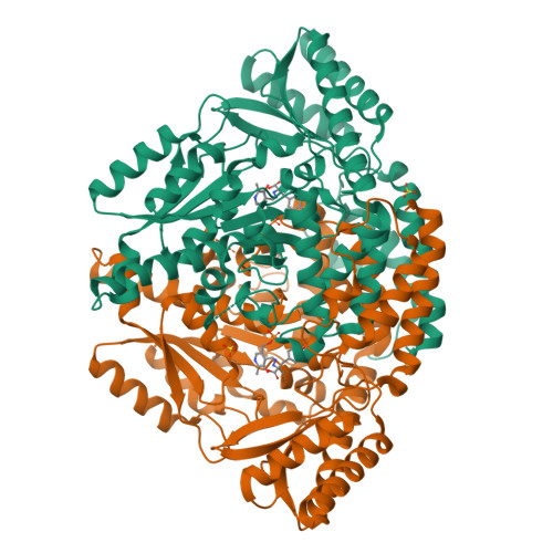 Rcsb Pdb Js Crystal Structure Of Dopa Decarboxylase In Complex With The Inhibitor Carbidopa