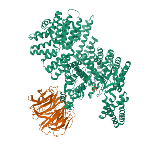 Rcsb Pdb 4jsp Structure Of Mtordeltan Mlst8 Atpgammas Mg Complex