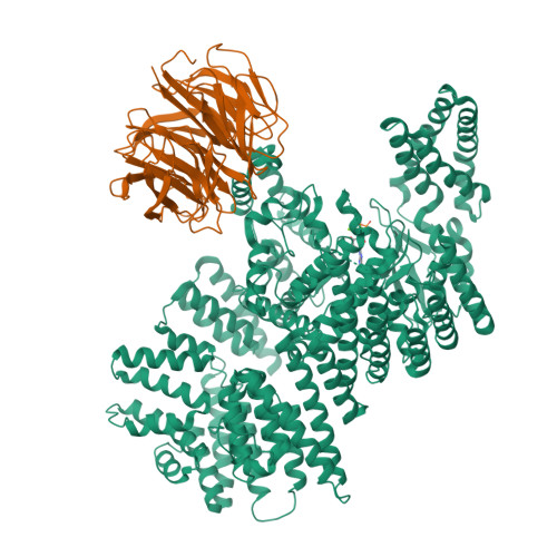 Rcsb Pdb 4jsp Structure Of Mtordeltan Mlst8 Atpgammas Mg Complex