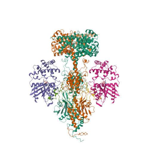 Rcsb Pdb 7jsn Structure Of The Visual Signaling Complex Between Transducin And Phosphodiesterase 6