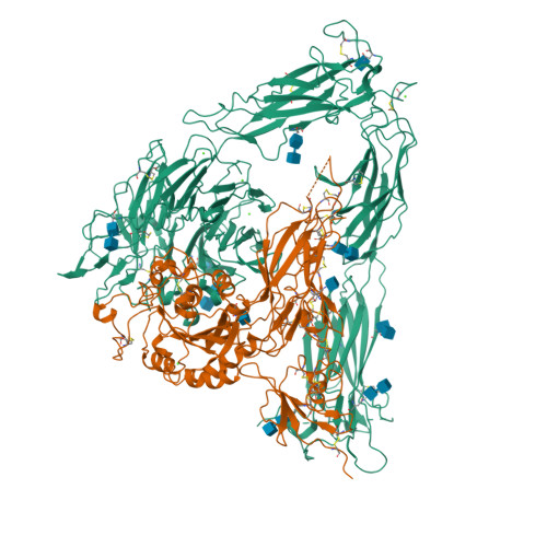 Rcsb Pdb 1jv2 Crystal Structure Of The Extracellular Segment Of Integrin Alphavbeta3