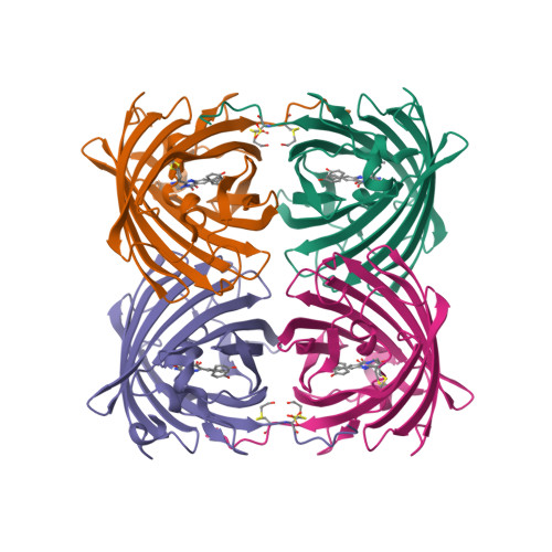 5JVA logo