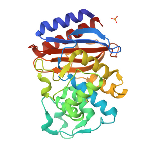 Rcsb Pdb 1jwp Structure Of M182t Mutant Of Tem 1 Beta Lactamase