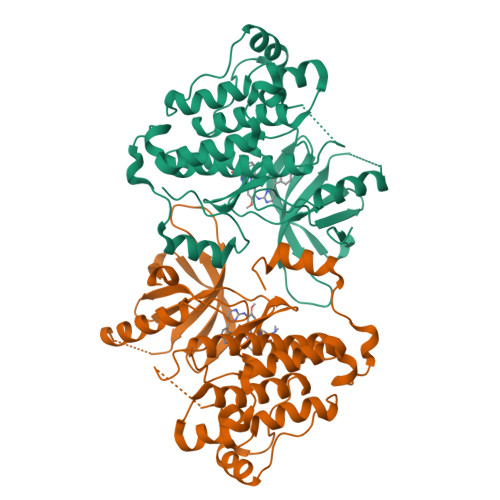 Rcsb Pdb 7jxl Egfr Kinase T790m V948r In Complex With Az5104