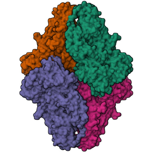 Rcsb Pdb 1jyn E Coli Lacz Beta Galactosidase E537q In Complex With Lactose