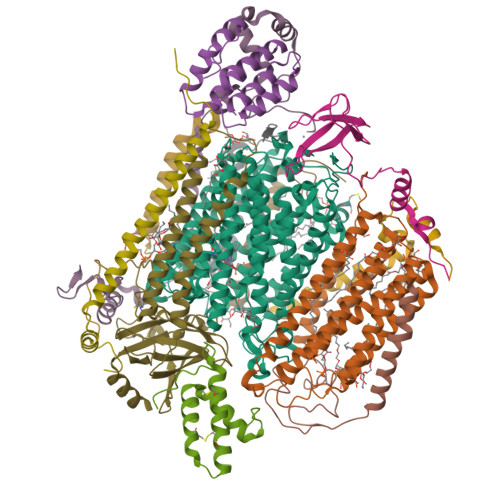 Rcsb Pdb 6jy3 Monomeric Form Of Bovine Heart Cytochrome C Oxidase In The Fully Oxidized State