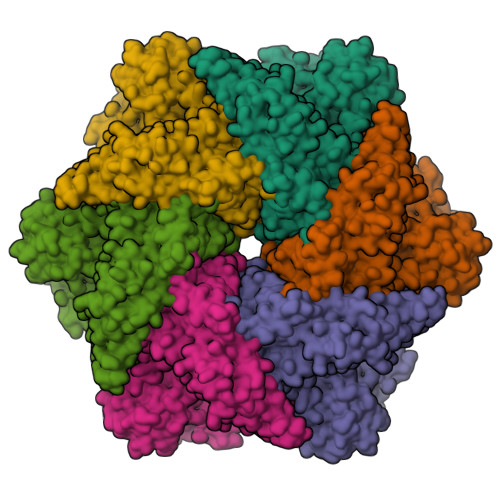 Rcsb Pdb 7jy5 Structure Of Human P97 In Complex With Atpgammas And Npl4 Ufd1 Masked Around P97