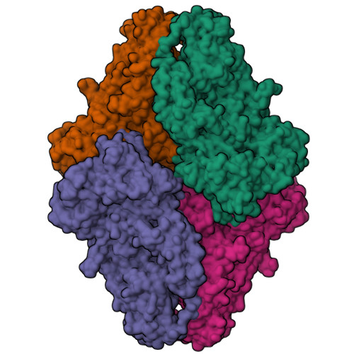 Rcsb Pdb 1jz2 E Coli Lacz Beta Galactosidase Trapped 2 F Galactosyl Enzyme Intermediate Orthorhombic