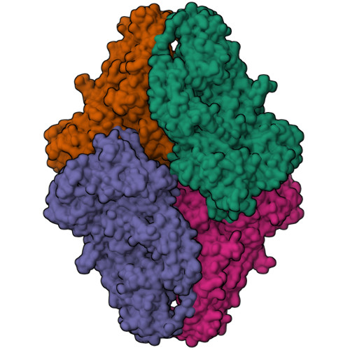 Rcsb Pdb 1jz4 E Coli Lacz Beta Galactosidase Trapped 2 Deoxy Galactosyl Enzyme Intermediate Low Bis Tris