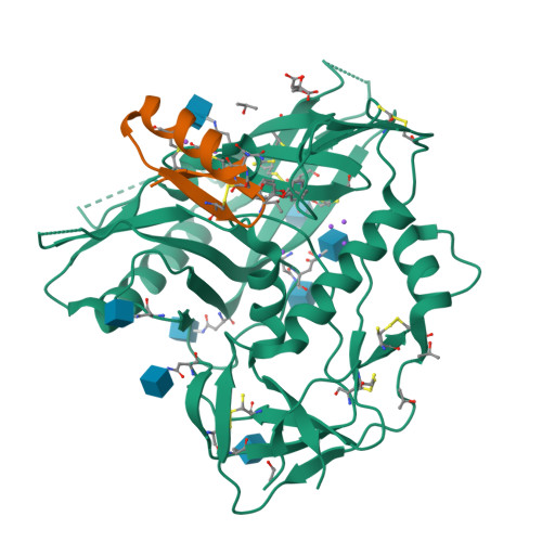 Rcsb Pdb 4jzz Crystal Structure Of Cd4 Mimetic Miniprotein M48u1 In Complex With Hiv 1 Yu2 Gp120 In C2221 Space Group