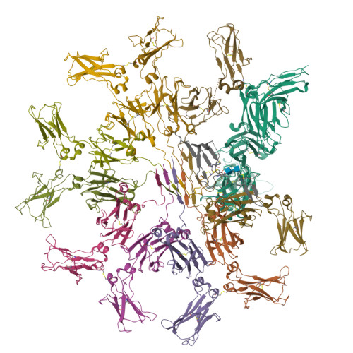 Rcsb Pdb 7k0c Structure Of Secretory Igm Core