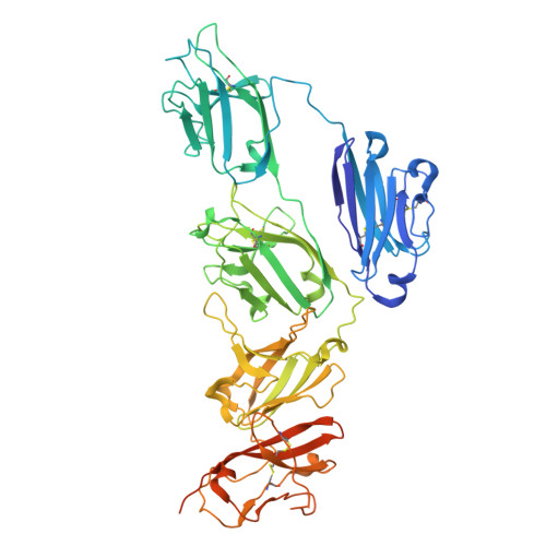 Rcsb Pdb 7k0c Structure Of Secretory Igm Core