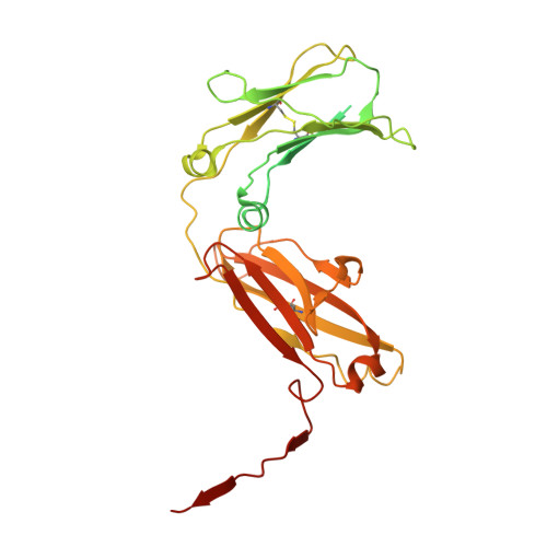 Rcsb Pdb 7k0c Structure Of Secretory Igm Core