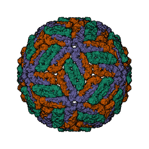 Rcsb Pdb 1k4r Structure Of Dengue Virus