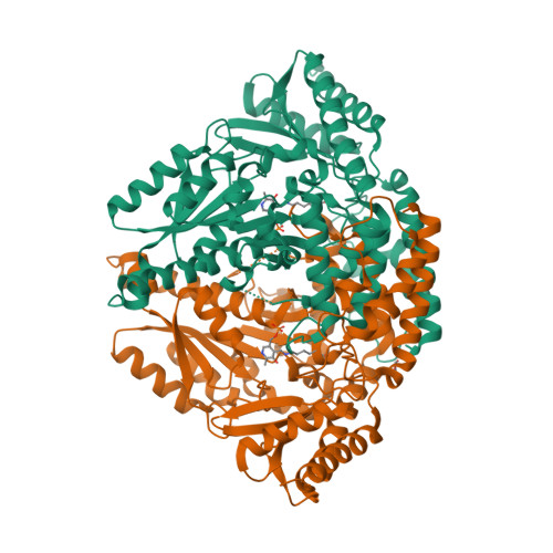 Rcsb Pdb 3k40 Crystal Structure Of Drosophila 3 4 Dihydroxyphenylalanine Decarboxylase