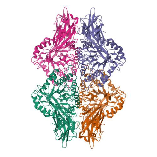 Rcsb Pdb 3k46 Crystal Structure Of Full Length E Coli Beta Glucuronidase