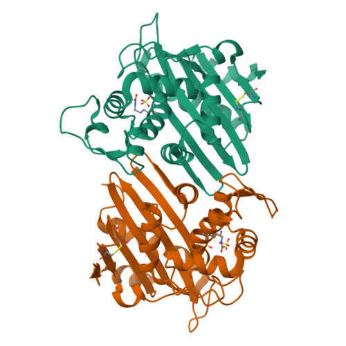 Rcsb Pdb 1k56 Oxa 10 Class D Beta Lactamase At Ph 6 5