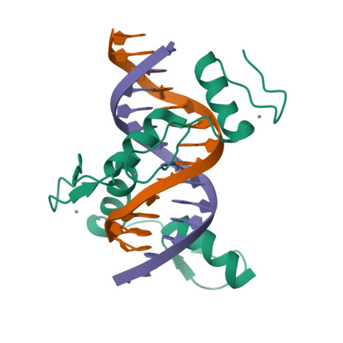 Rcsb Pdb 5k5h Homo Sapiens Ccctc Binding Factor Ctcf Znf4 7 And Dna Complex Structure