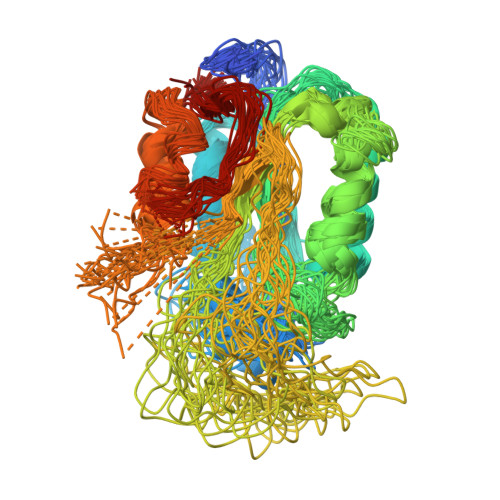 Rcsb Pdb 2k7z Solution Structure Of The Catalytic Domain Of Procaspase 8