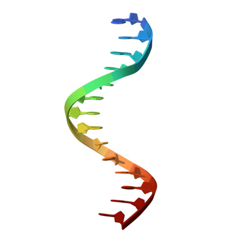 RCSB PDB - 1K8J: NMR STRUCTURE OF THE CK14 DNA DUPLEX: A PORTION OF THE ...