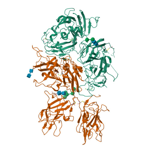 Rcsb Pdb 5k8d Crystal Structure Of Rfviiifc