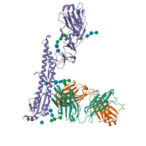 Rcsb Pdb 5k9k Crystal Structure Of Multidonor Hv6 1 Class Broadly Neutralizing Influenza A Antibody 56 A 09 In Complex With Hemagglutinin Hong Kong 1968