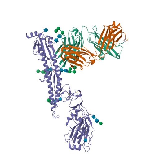 Rcsb Pdb 5k9k Crystal Structure Of Multidonor Hv6 1 Class Broadly Neutralizing Influenza A Antibody 56 A 09 In Complex With Hemagglutinin Hong Kong 1968