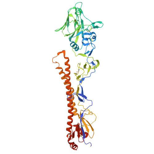 Rcsb Pdb 5k9k Crystal Structure Of Multidonor Hv6 1 Class Broadly Neutralizing Influenza A Antibody 56 A 09 In Complex With Hemagglutinin Hong Kong 1968