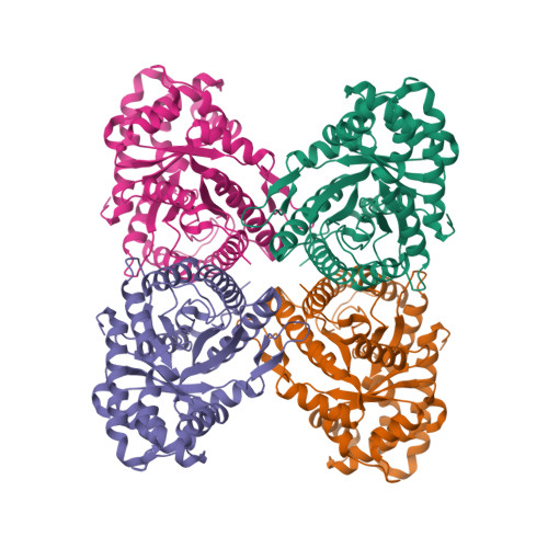 Rcsb Pdb 7k9l Aldolase Rabbit Muscle No Beam Tilt Refinement