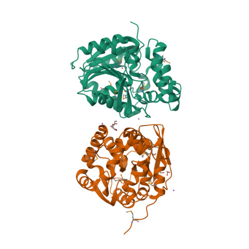 Rcsb Pdb 4kaf Crystal Structure Of Haloalkane Dehalogenase Halotag7 At The Resolution 1 5a Northeast Structural Genomics Consortium Nesg Target Or151