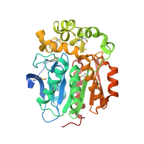 Rcsb Pdb 4kaf Crystal Structure Of Haloalkane Dehalogenase Halotag7 At The Resolution 1 5a Northeast Structural Genomics Consortium Nesg Target Or151