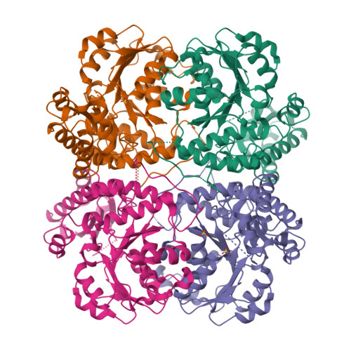 image of structure for 4KAM