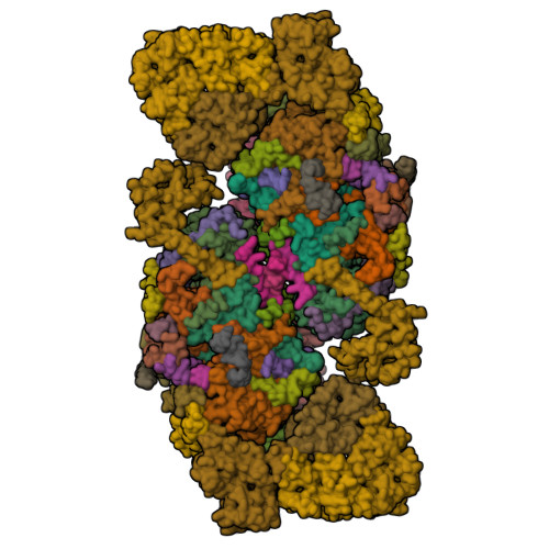 Rcsb Pdb 6kac Cryo Em Structure Of The C2s2 Type Psii Lhcii Supercomplex From Chlamydomonas Reihardtii