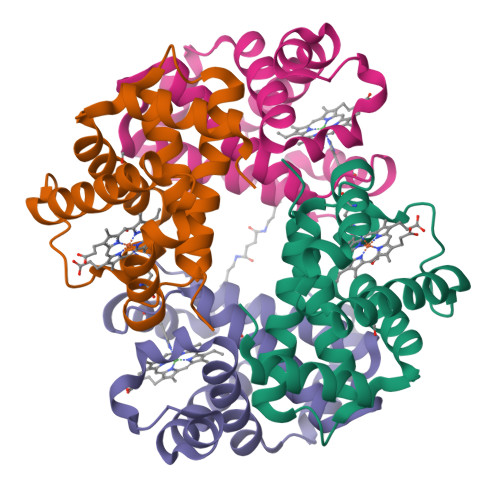 Rcsb Pdb 6kae Closslinked Alpha Fe Co Beta Ni Human Hemoglobin A In The T Quaternary Structure At 95 K Light