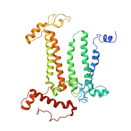 Rcsb Pdb 6kaf C2s2m2n2 Type Psii Lhcii