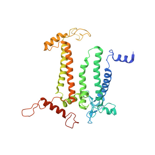 Rcsb Pdb 6kaf C2s2m2n2 Type Psii Lhcii