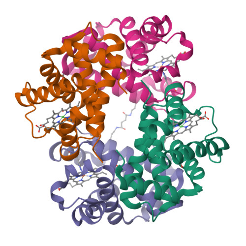 Rcsb Pdb 6kai Closslinked Alpha Ni Beta Fe Human Hemoglobin A In The T Quaternary Structure At 95 K Light