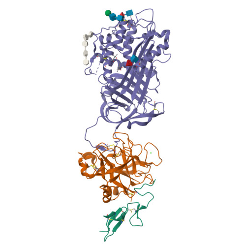 Heparin structure rendering
