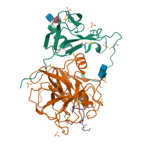 Rcsb Pdb 6kd5 Crystal Structure Of The Extracellular Domain Of Mspl Tmprss13 In Complex With Dec Rvkr Cmk Inhibitor